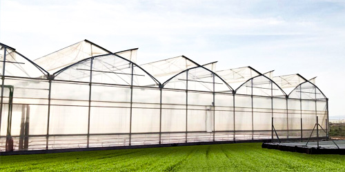 U V Stabilized Film Greenhouse
